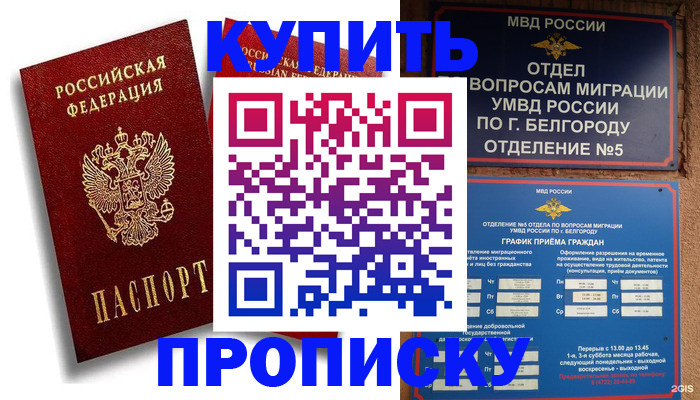 прописка иностранных граждан в Павловске